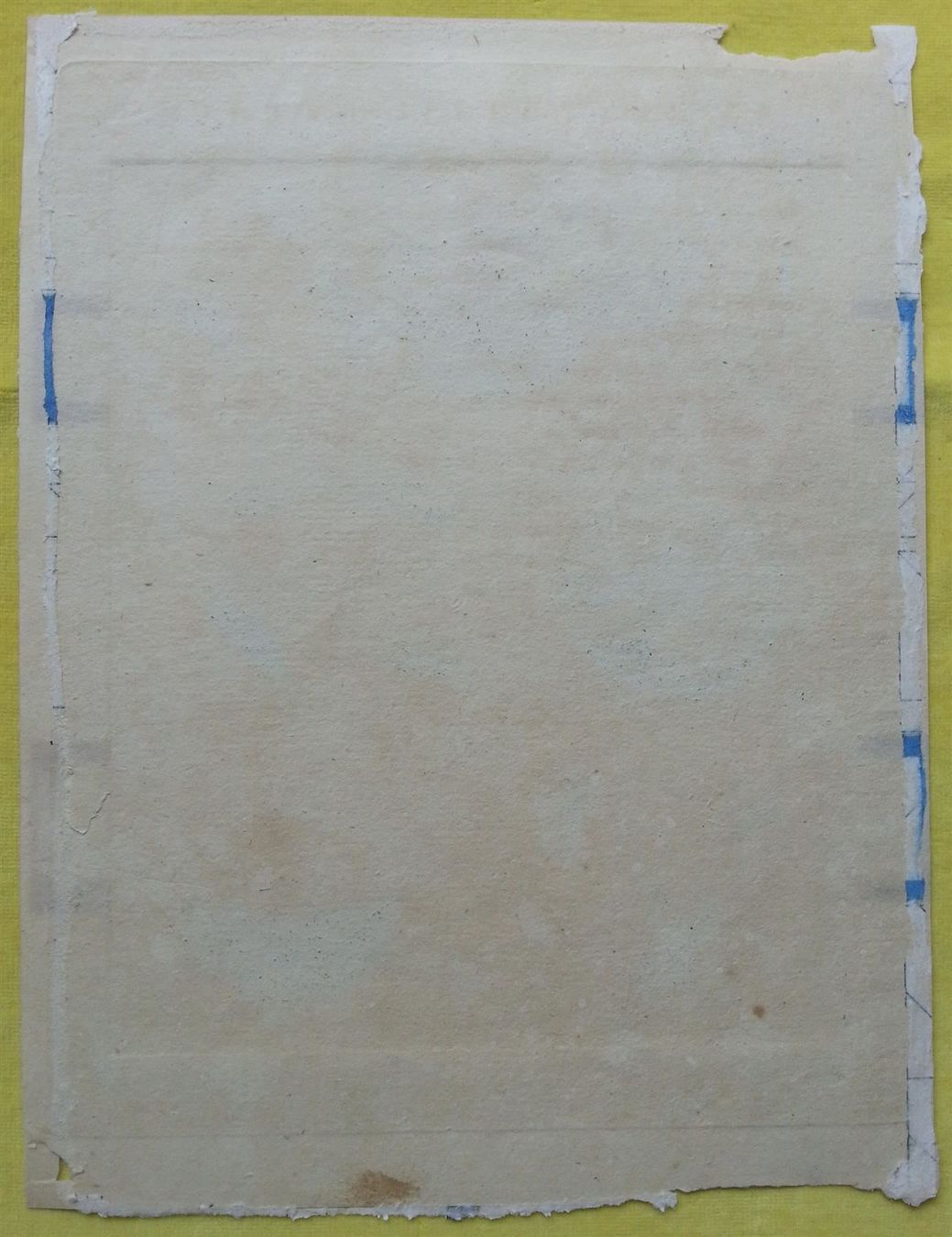 Incisioni: Kupferstich 2x Schädlinge, J. Schmuzer, um 1790 – Usato da Oberriet SG venduto da ganesh435 9