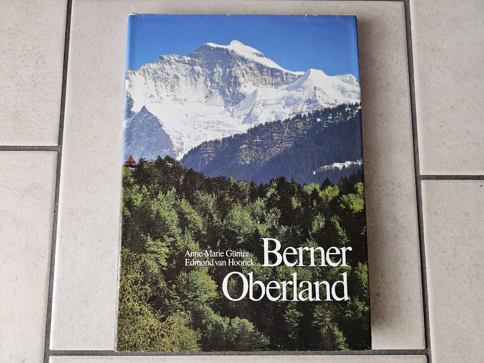 Libri: Berner Oberland  /  174 Seiten – Usato da Schneisingen venduto da backstore24
