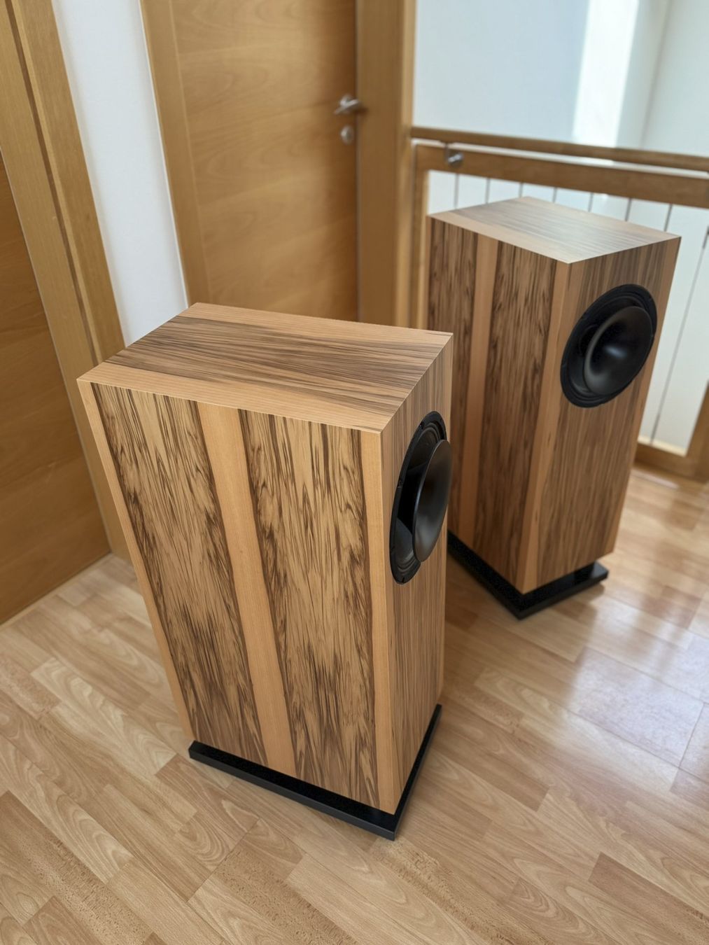 Casse acustiche: TOBIAN Sound Systems 10HC Lautsprecher – Usato da Lichtensteig venduto da Twalt 2