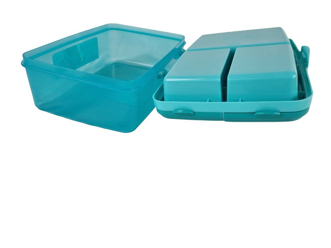 Contenitori & Simili: SISTEMA LunchBox Grün – Nuovo (secondo la descrizione) da Wangen b. Olten venduto da Restwert_Wangen 4