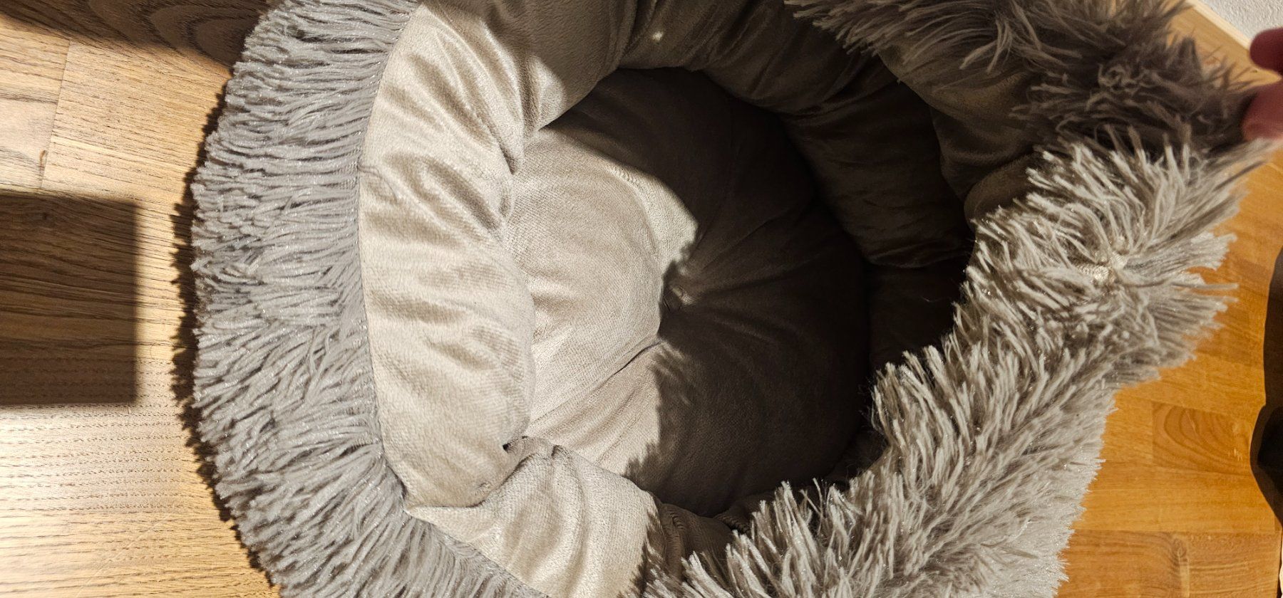 Letti: Katzenbett rund Plüsch neu – Nuovo (secondo la descrizione) da Rorschach venduto da Eni_f96b 1