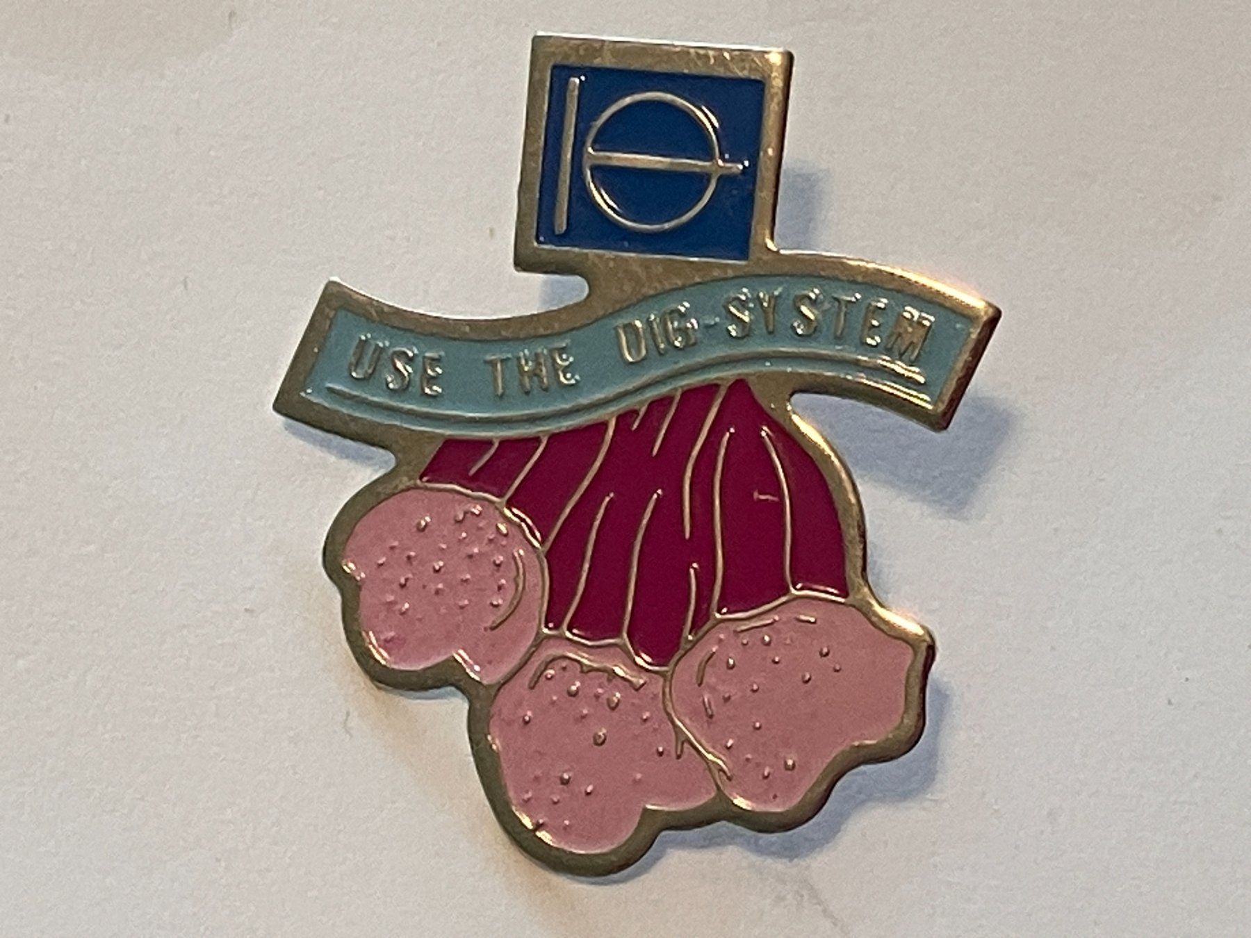 Plaquettes & Badges: 1 Pin Use the DIG System – D'occasion à Basel par djwwpp