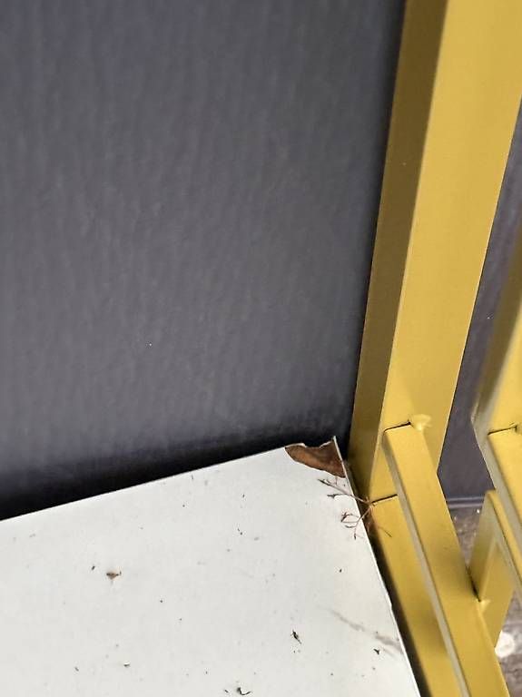 Alle Dekorationen: deko gestell – Gebraucht aus Adligenswil von balboa5 3