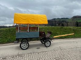 Pferdewagen / Planwagen / Gesellschaftswagen 2-spännig