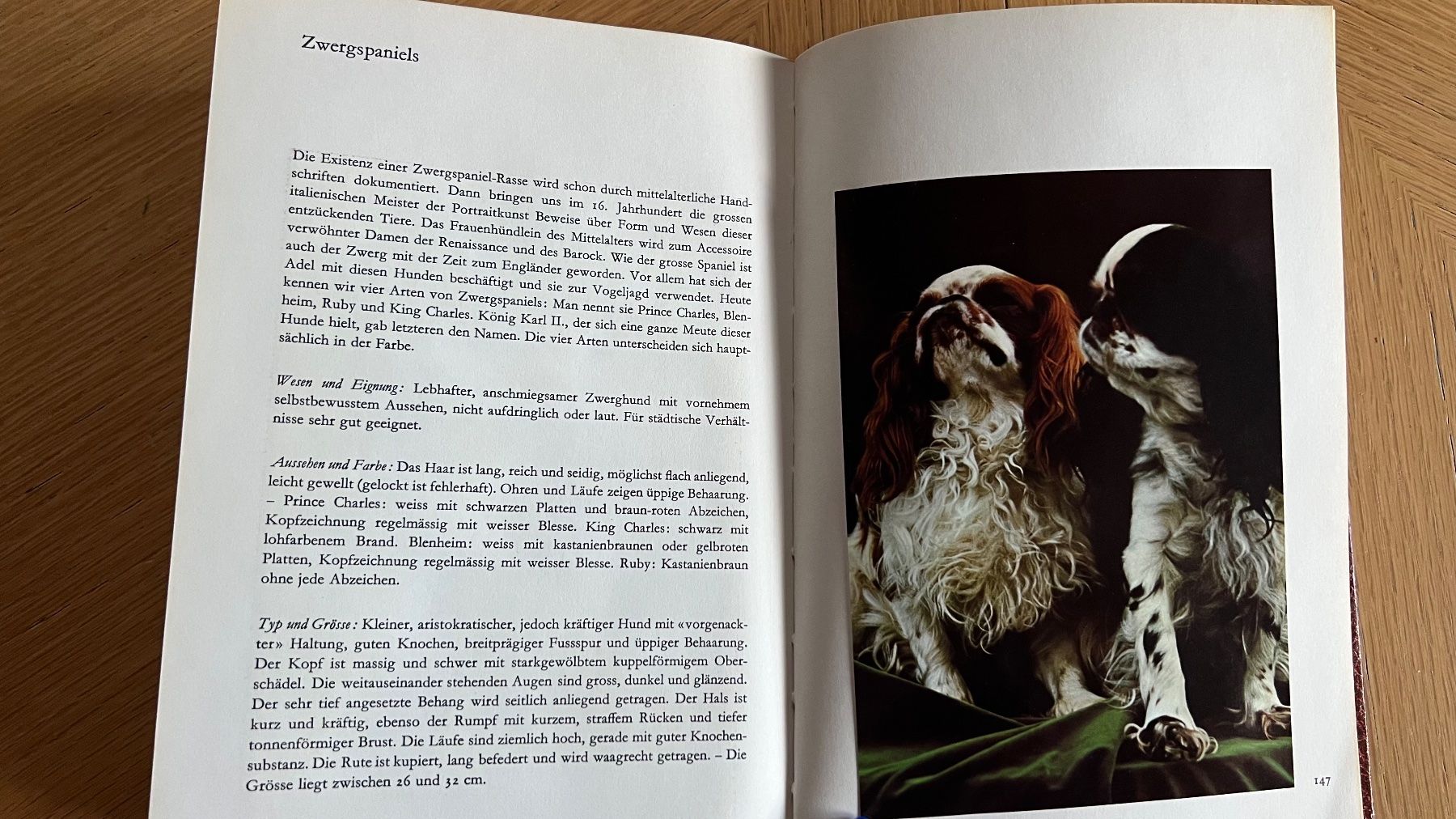 Libri: Rassehunde in der Schweiz - Band 2, 1971 – Usato da Schübelbach venduto da Dolly990_2 4