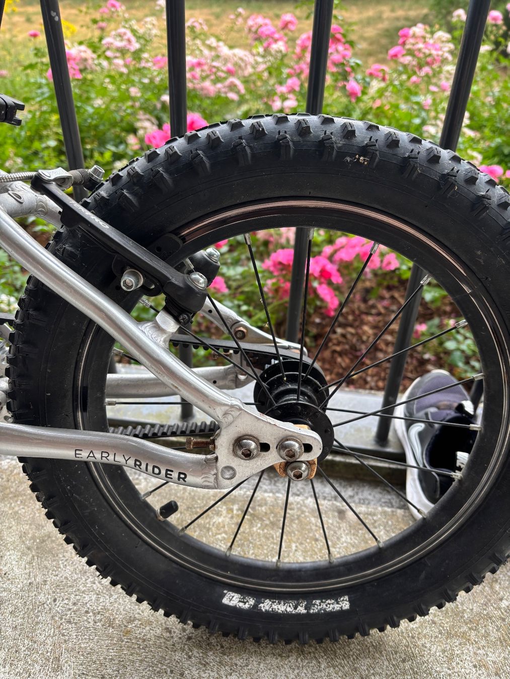 Early Rider Biciclette: Early Rider Belter Trail 2019 (16") – Usato da Solothurn venduto da mor_b7vt 2