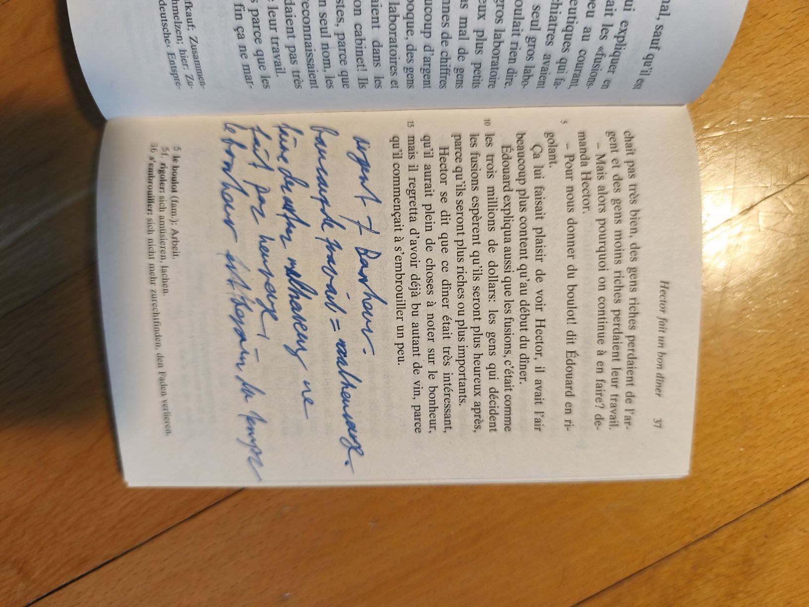 Libri: François Lelord: Hectors Reise oder die Suche nach Glück – Usato da Brugg AG venduto da ccoorriinnee 2