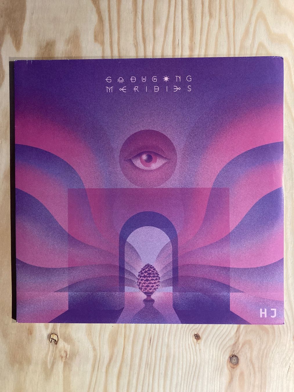 Dischi in vinile: Go Dugong (Progressive Space Rock Jazz) – Usato da Dotzigen venduto da BIKES.AND.RECORDS