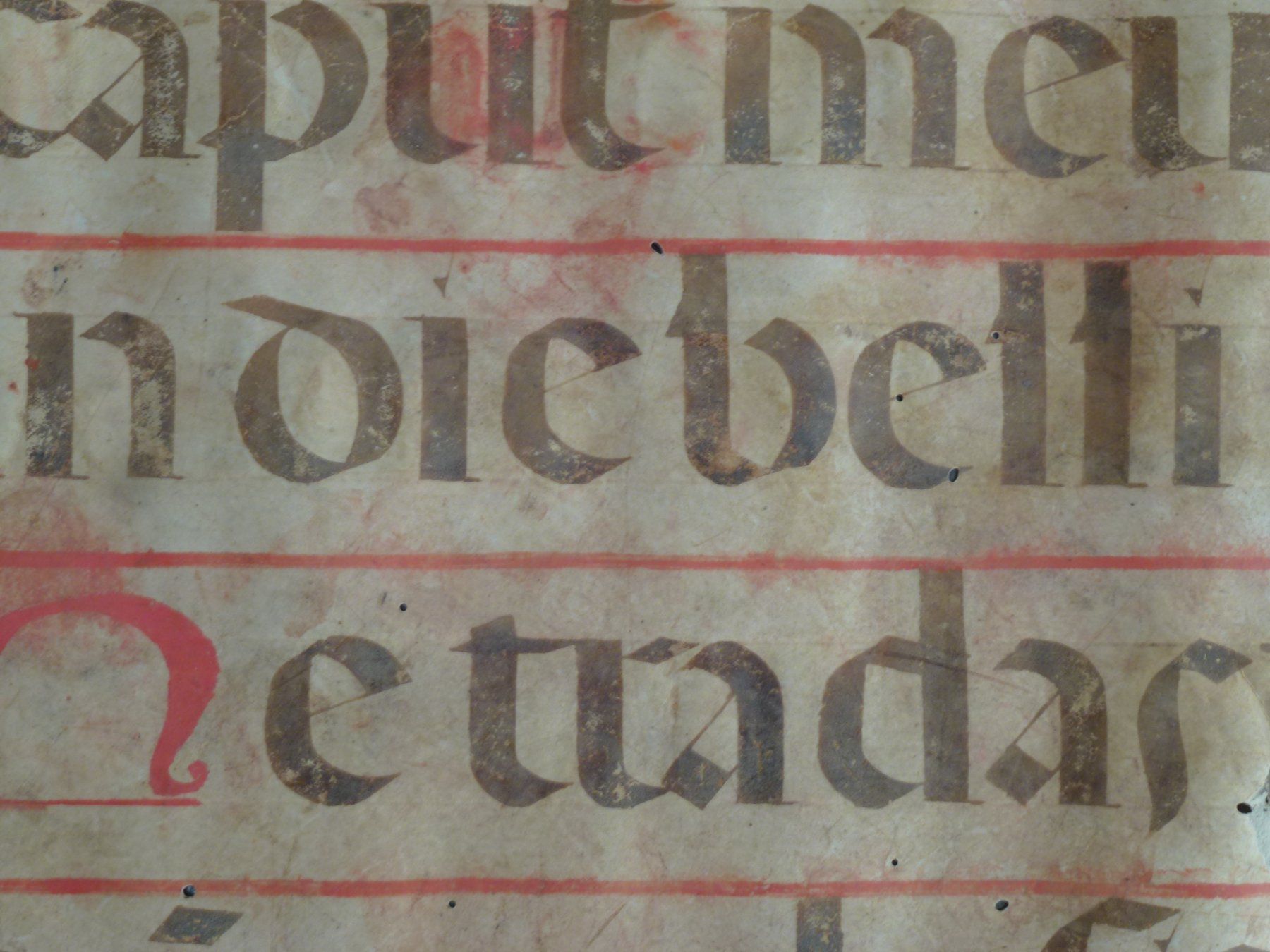 Dipinti: Gotik Manuskript Pergament / Psalm:140 – Usato da Esslingen venduto da eintagammeer 5