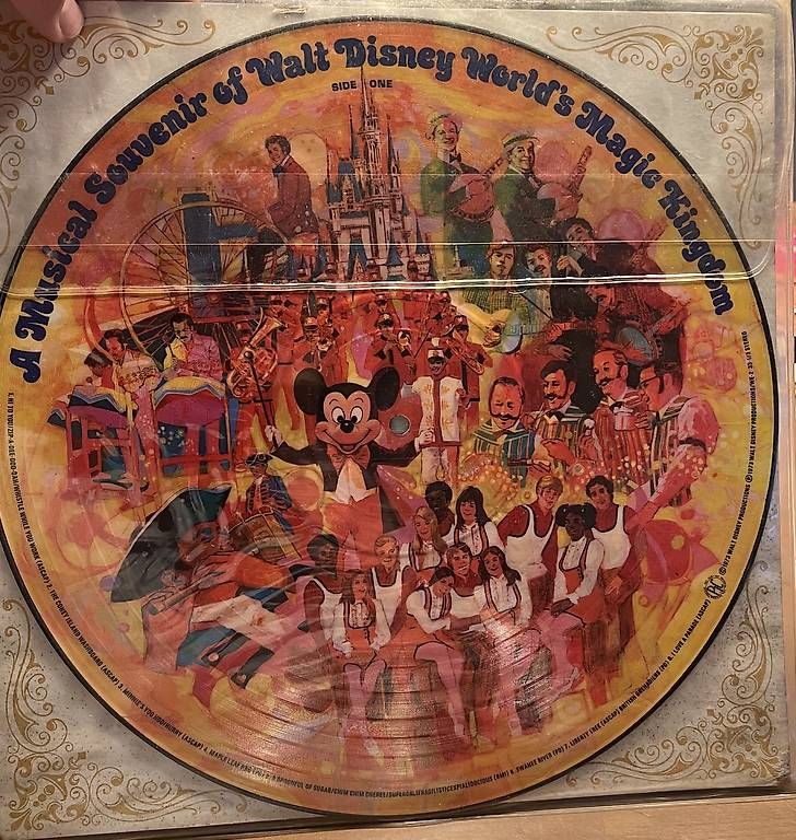 Dischi in vinile: Walt Disney vinile 1975 – Usato da Bellinzona venduto da EneaPedrini