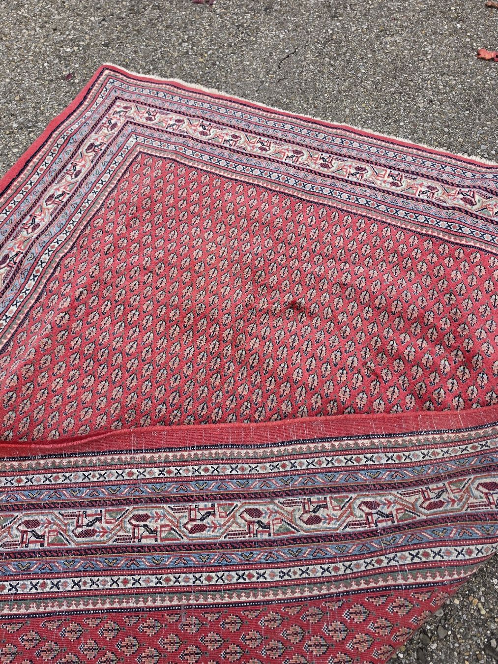 Tappeti: Teppich rot mit Fransen gebrauchter Zustand – Usato da Mettlen venduto da elios0888 9