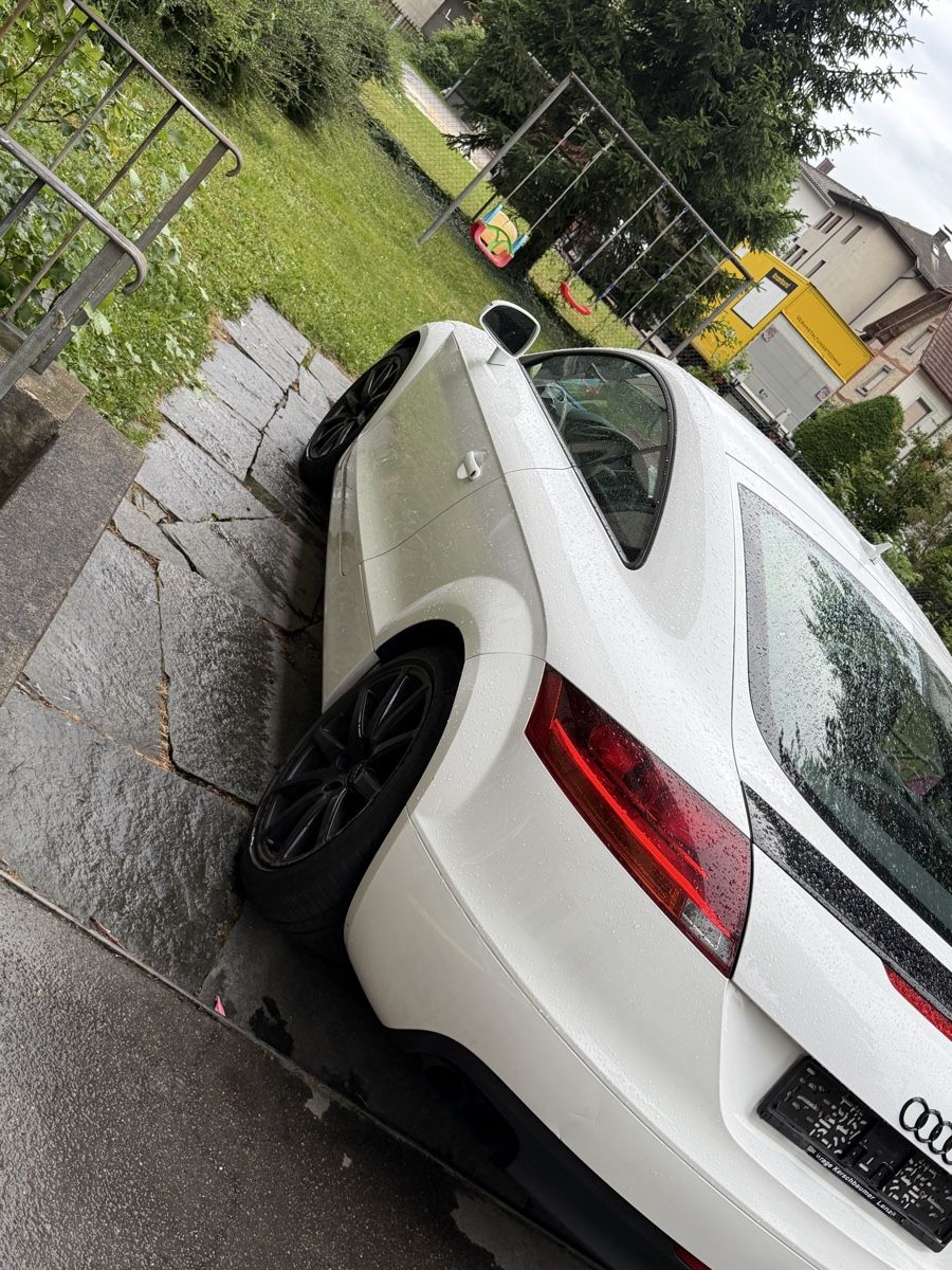 Audi Automobili: Audi tt Sportliches Coupé – Usato da Zürich venduto da bur_p68t 8