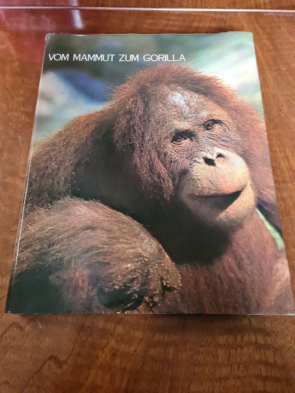 Libri: Vom Mammut zum Gorilla – Usato da Erstfeld venduto da Uhu1980