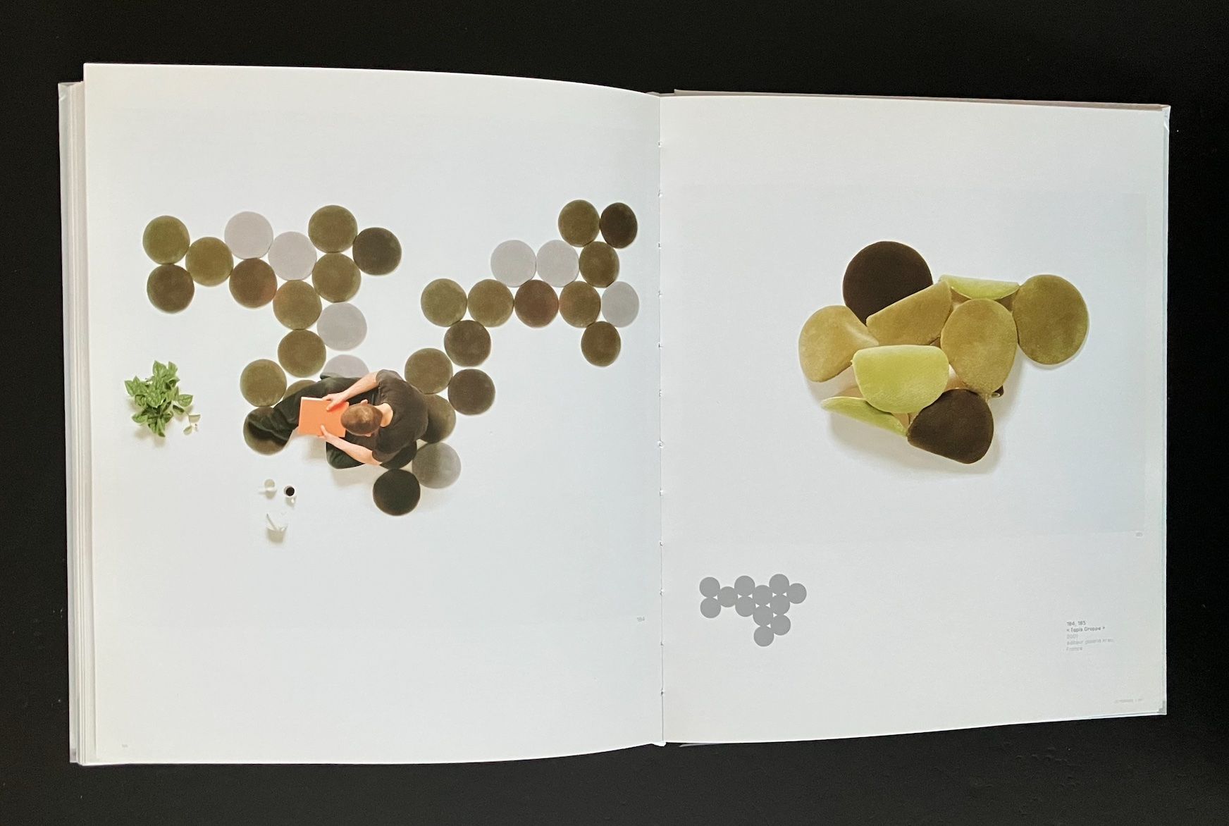 Libri: ronan et erwan bouroullec . phaidon – Usato da Basel venduto da cosmos.books 9
