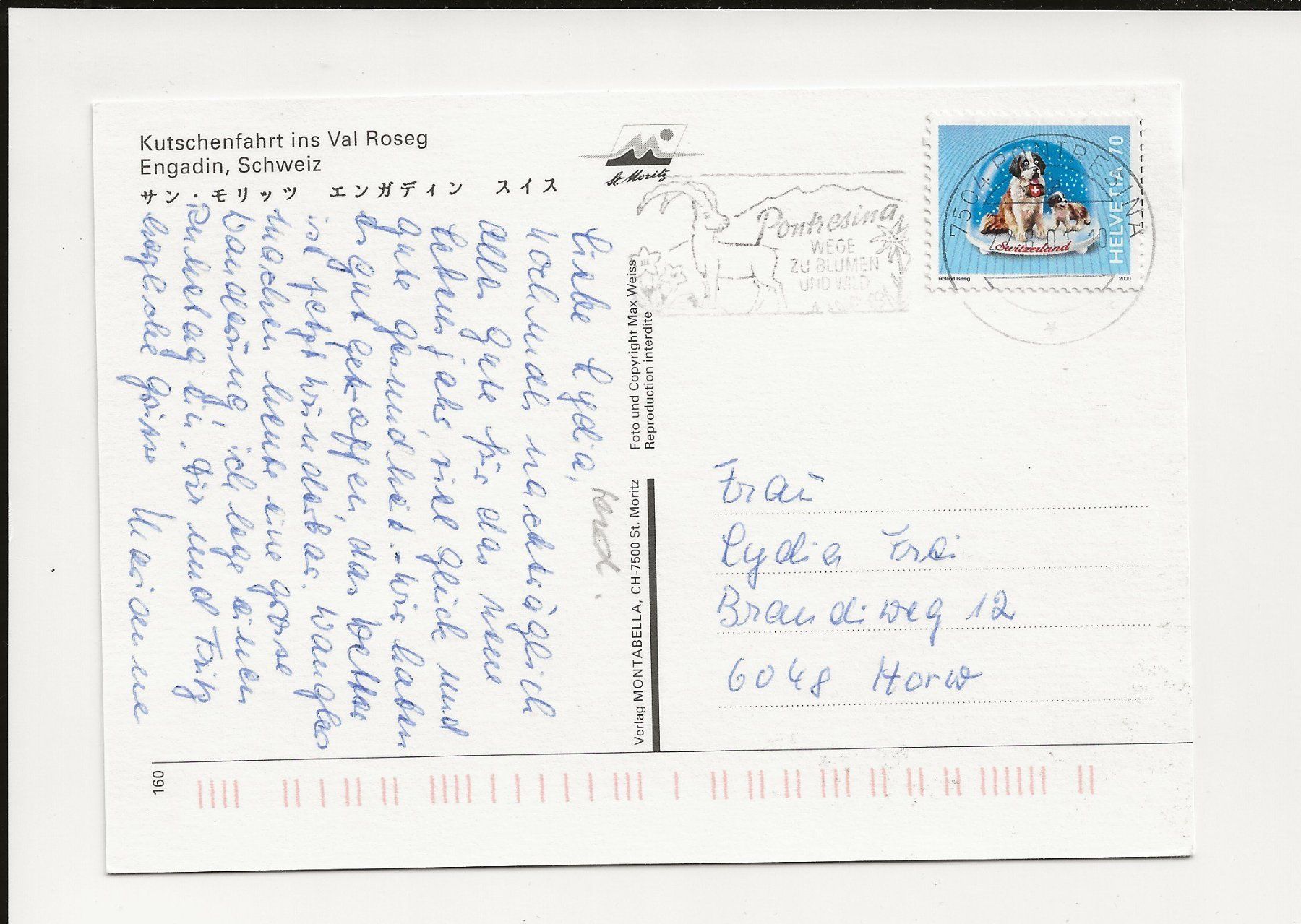 Cartoline postali: AK 2001 Kutschenfahrt Val Roseg Engadin – Usato da Greifensee venduto da 315WDO 1