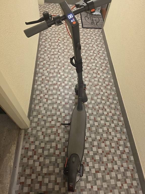Kickboard: Trottinette électrique 350W – Nuovo e nell'imballaggio originale da Territet venduto da car_q2dk