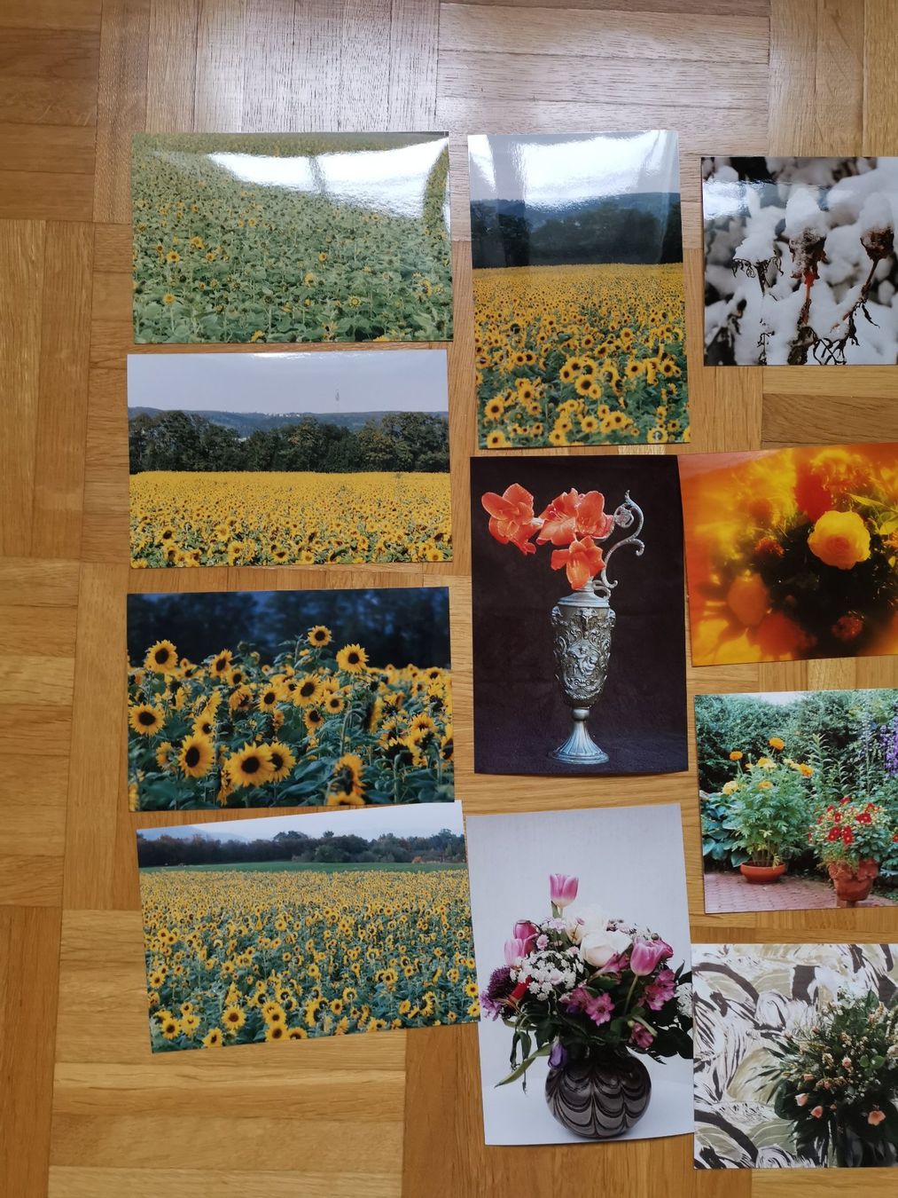 Karten: 21 Foto Karten, Blumen – Neu (gemäss Beschreibung) aus Dornach von Hei50 1
