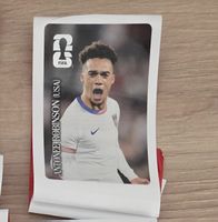 WM Cola Panini Antonee Robinson (USA)