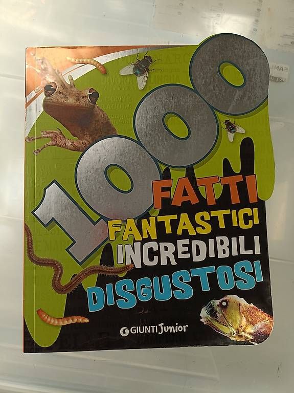 Libri: Libri per bambini – Usato da Ligornetto venduto da p5m23 3