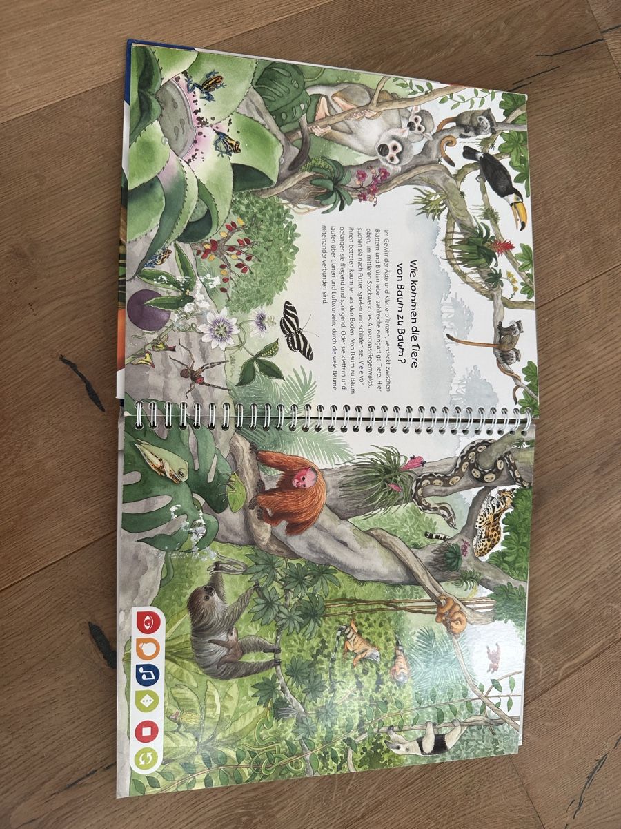 Tiptoi Giochi: Tiptoi Set inkl. Stift – Usato da Buchs SG venduto da pessego2008 4