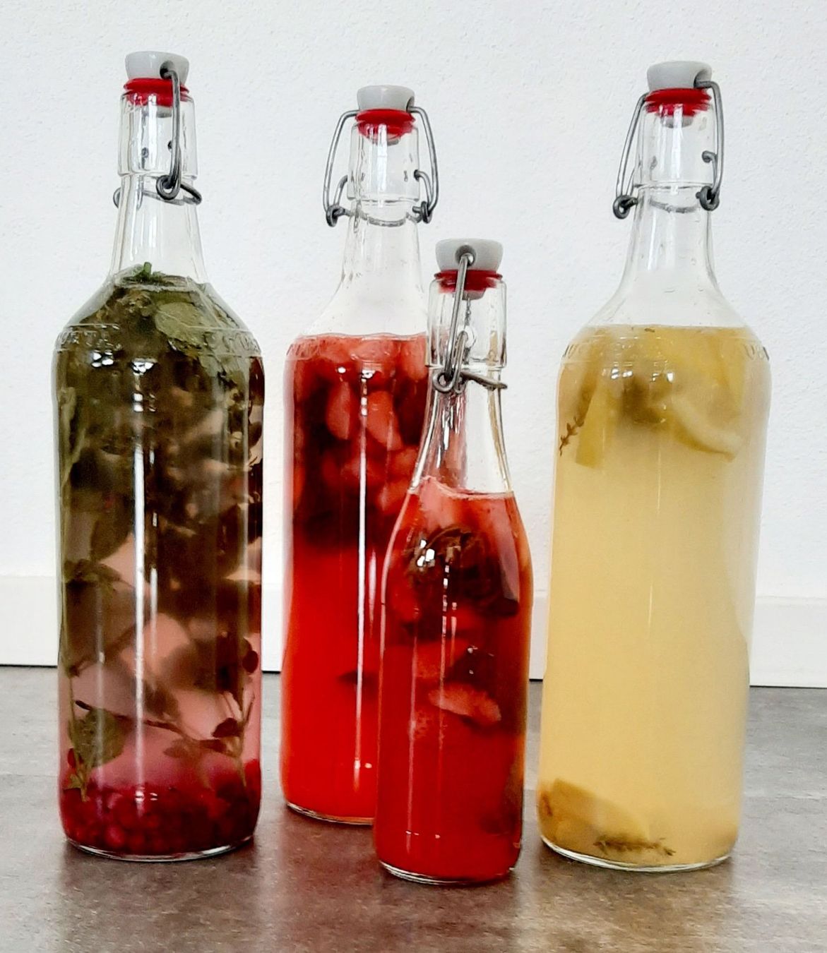 Cibi & Specialità: Bio Kombucha Teepilz + Ansetzflüssigkeit – Nuovo (secondo la descrizione) da Winterthur venduto da Aniger 6