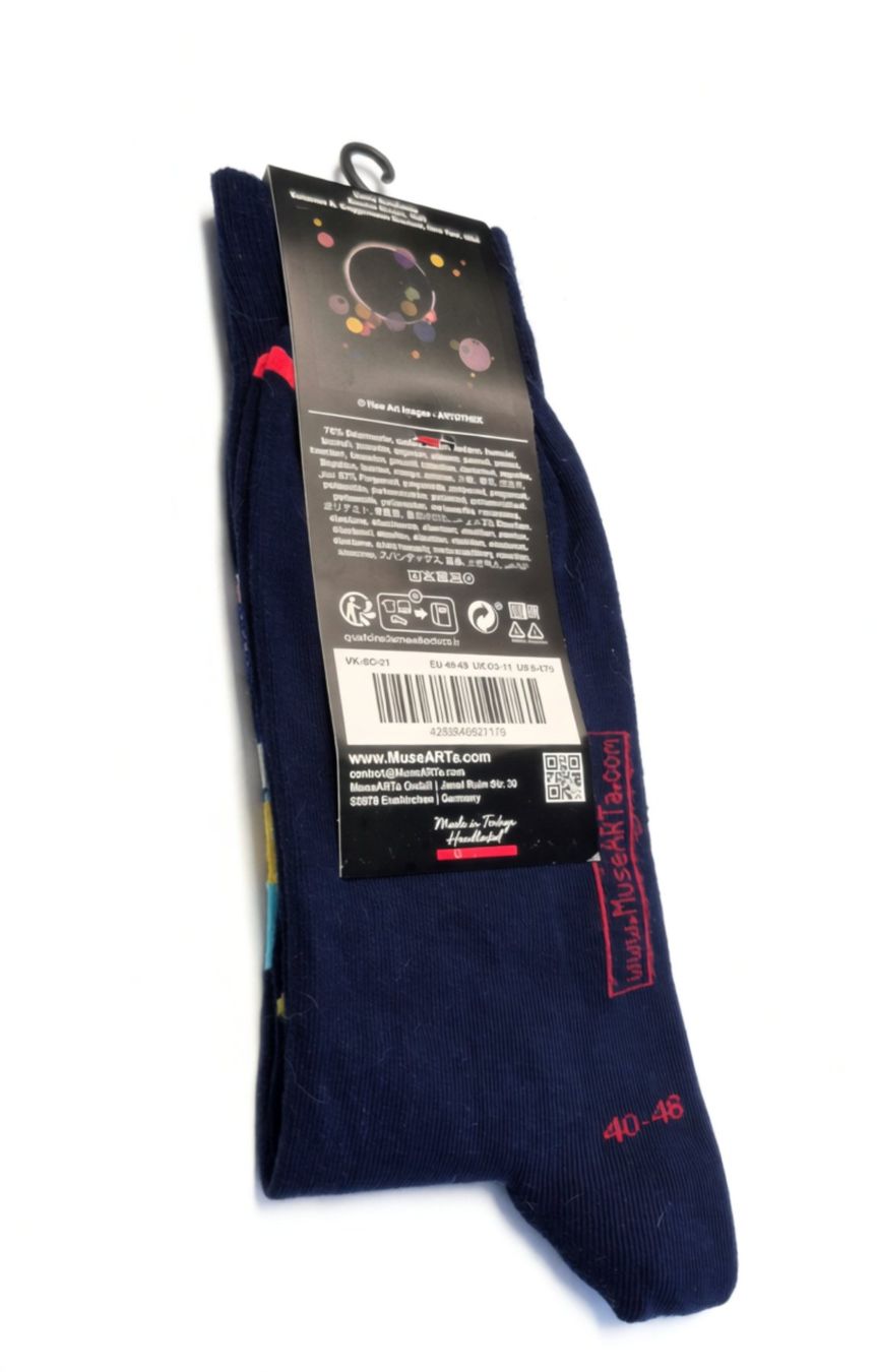 Chaussettes: NEU Art Sox Kandinsky 'Several Circles' Socken EU 40-46 – Neuf avec emballage d'origine à Onex par jdo_rg58 1