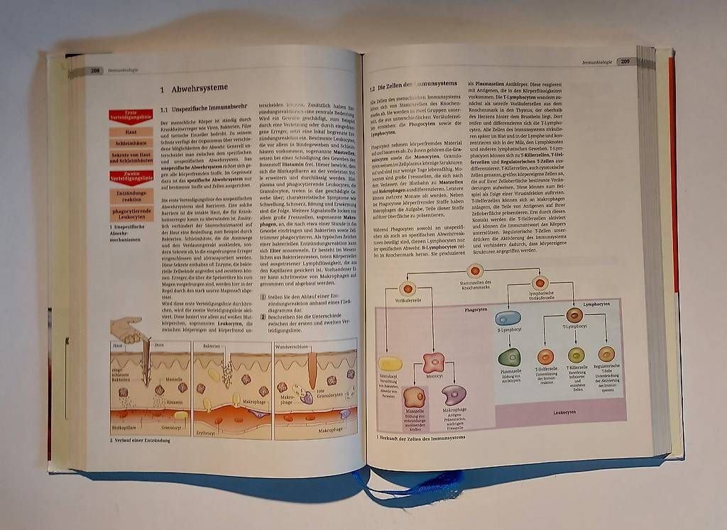 Libri: Biologie Heute Schulbuch – Usato da Alchenstorf venduto da jae_8glt 2