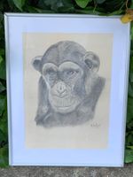 Portrait „Schimpanse“ Walter Näf (1967)