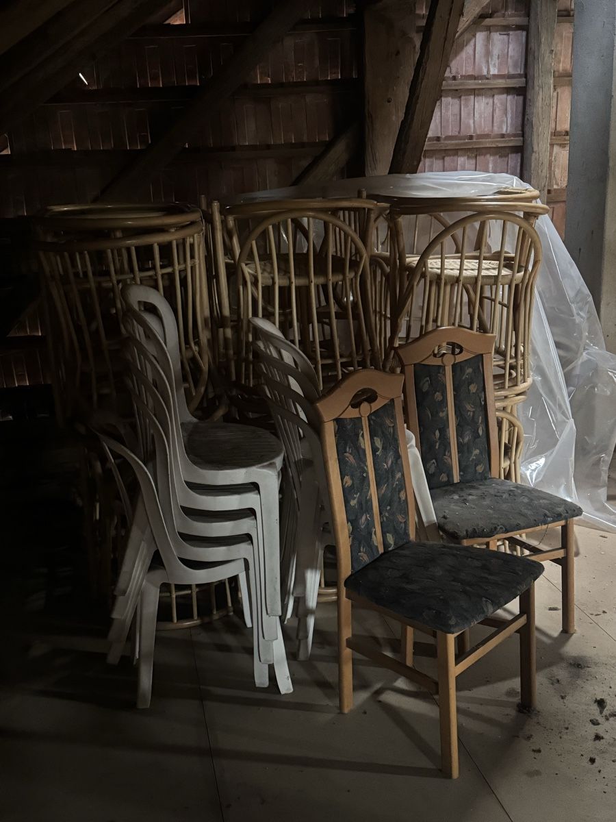 Sedie: Lot de chaises – Difettoso da Cerniaz VD venduto da Julien.f