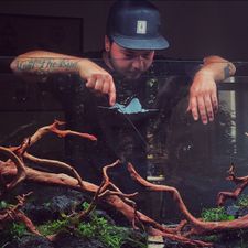 Profile image of manulu02