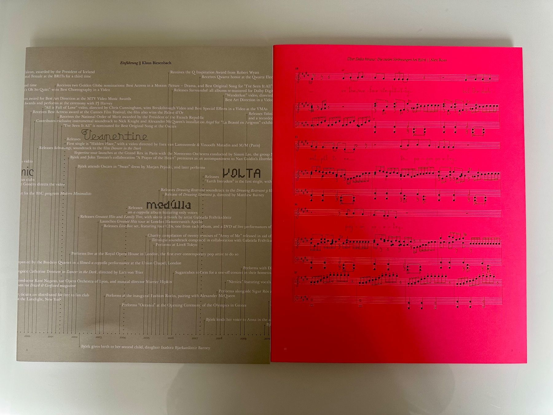 Bücher: Björk The Archives – Gebraucht aus Zürich von Skinwalker 2