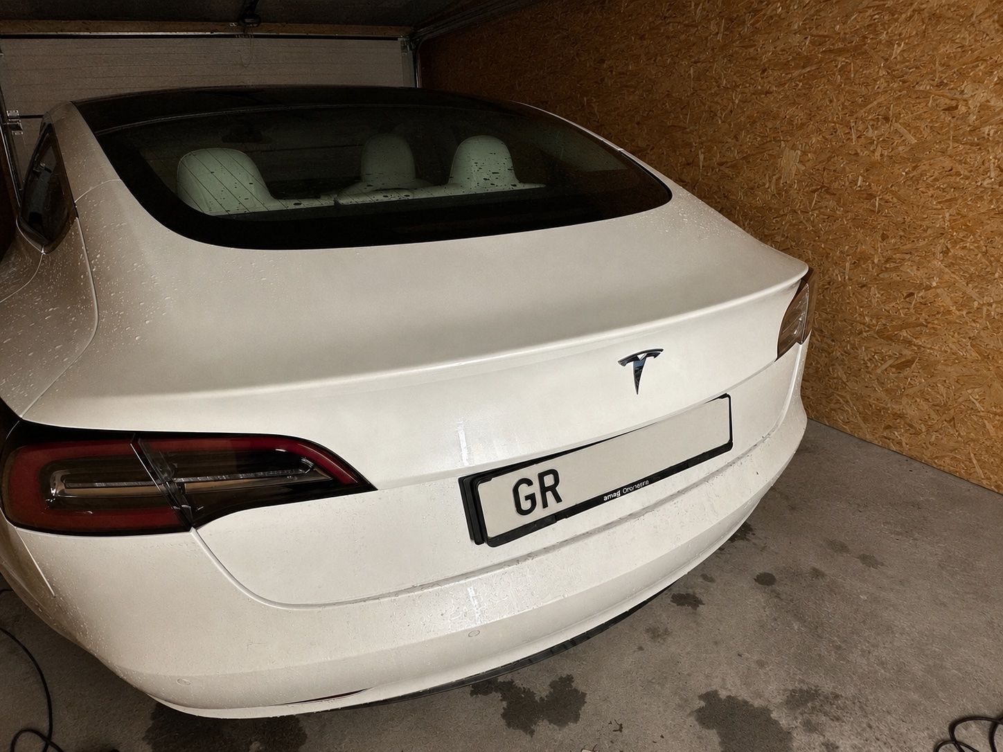 Tesla Automobili: Tesla Model 3 AWD LR – Usato da Serneus venduto da rub_5tg7 1