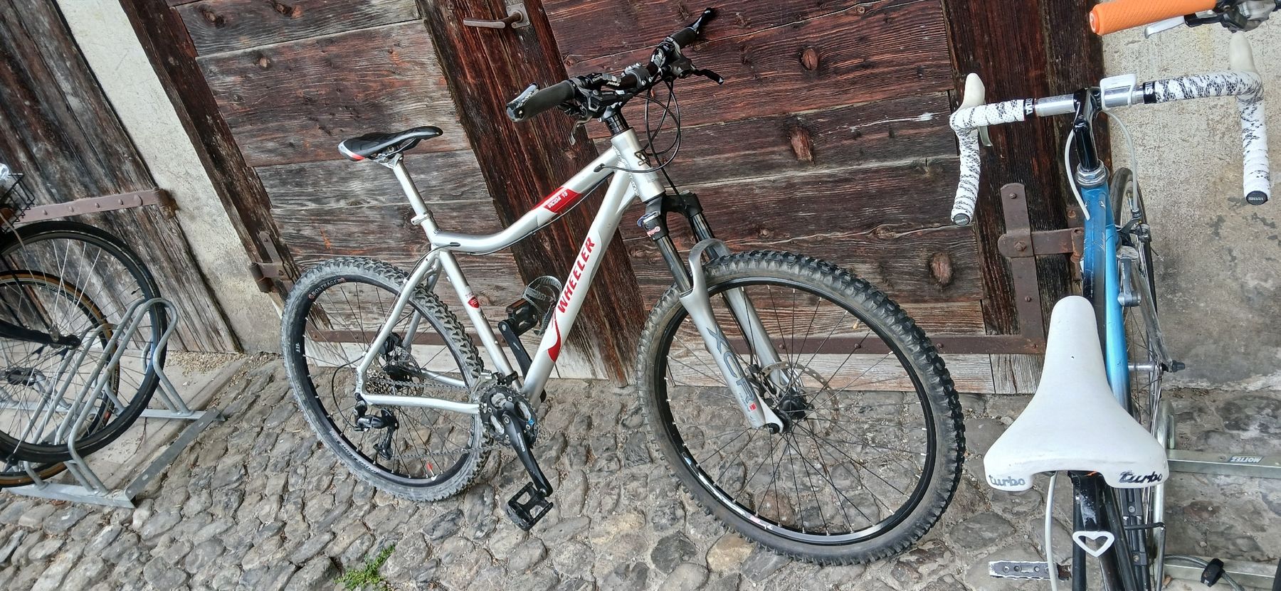 Wheeler Biciclette: MTB WHEELER 26" – Usato da Adliswil venduto da trujillo01 1