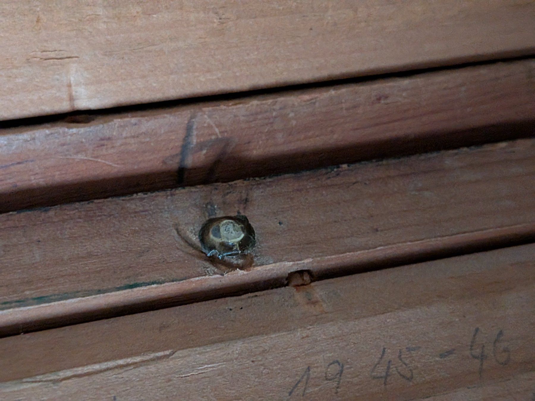 Incisioni: 4 antike Stiche  Atala & Chata – Usato da Emmen venduto da magelan 9