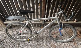 Velo BOSS BIKES silber Farbe