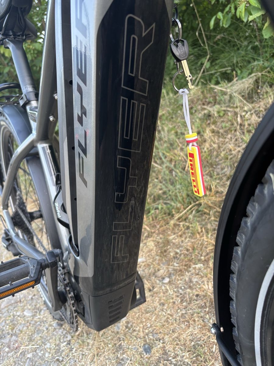 Flyer Biciclette: Flyer Goroc  Fast Neu – Nuovo (secondo la descrizione) da Kleindietwil venduto da Hermi2017 6