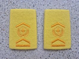 Gradabzeichen Patten Set Fourier Panzergrenadier