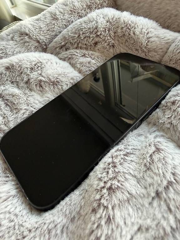 Apple Portables: Iphone 15, gebraucht – D'occasion à Beringen par fxm_ll2g 1