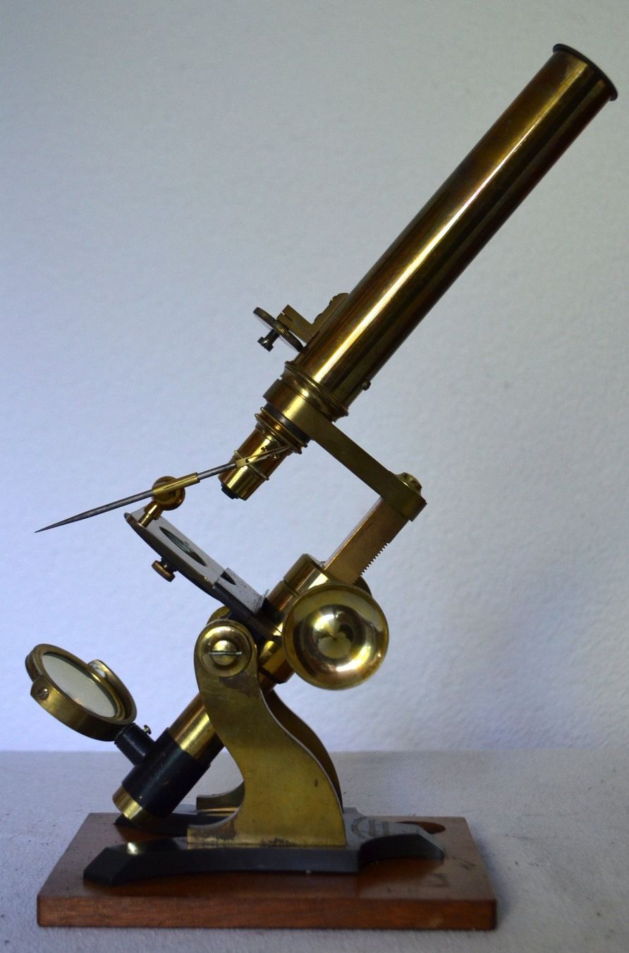 Microscopi: Armstrong & Bro 1880s Messing-Mikroskop / microscope – Usato da Collonges venduto da arashee 2