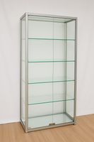 Hochwertige Design-Glasvitrine mit Chromrahmen