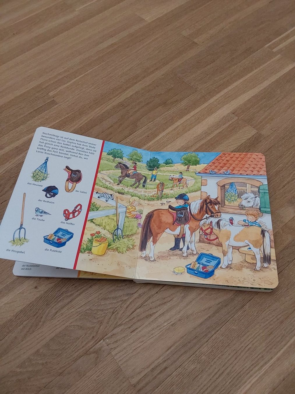 Bücher: Kinder Bücher – Gebraucht aus Wallisellen von Wallisellen77 2