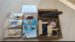 Räucherset für Einsteiger Salbei Holz und Zubehör
