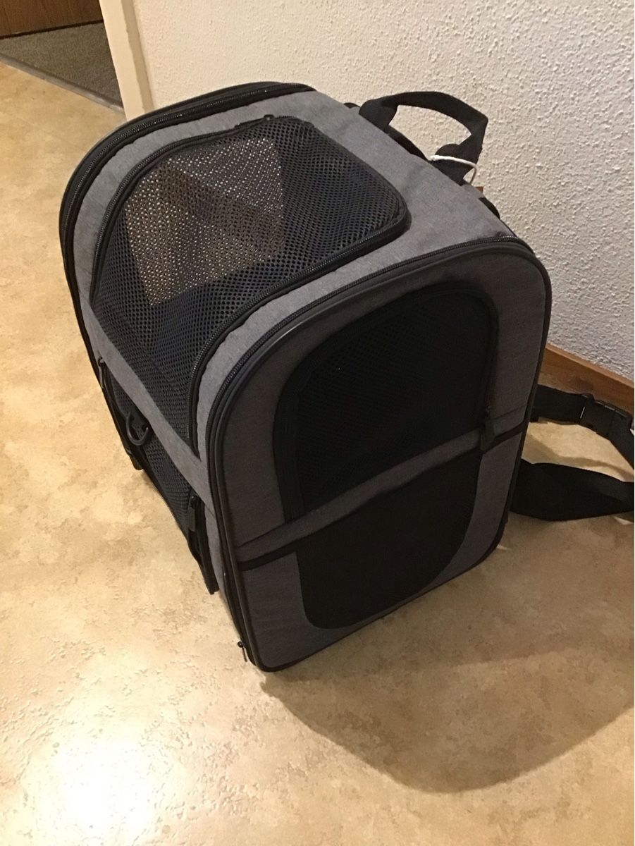 Zaini: Apollo Walker Haustierrucksack – Nuovo (secondo la descrizione) da Bülach venduto da gio_j9hl