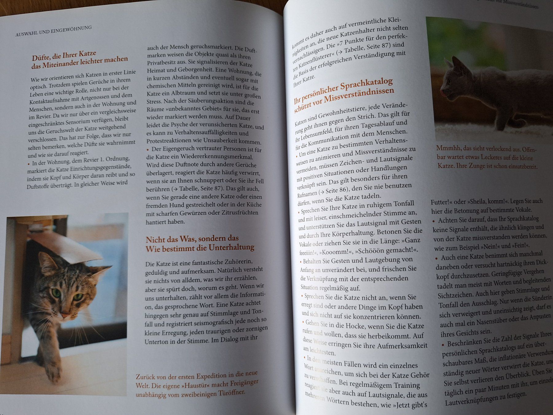 Libri: Katzensprache - verstehen lernen von Gerd Ludwig – Nuovo (secondo la descrizione) da Eiken venduto da Lashar 3
