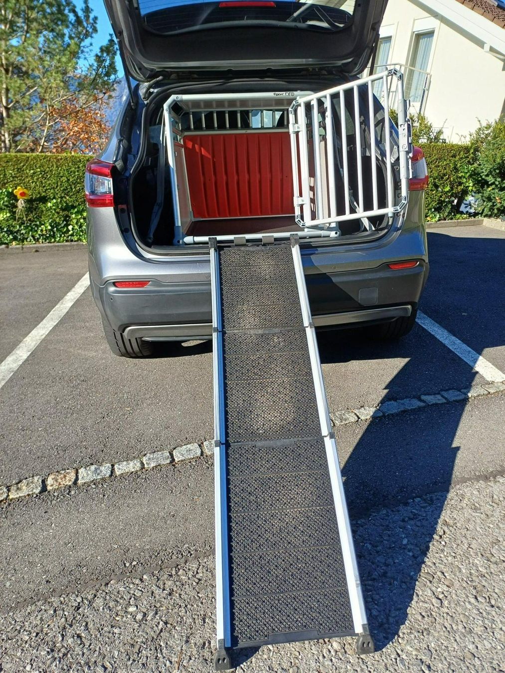 Käfige, Transport & Sicherheit: Hunderampe – Gebraucht aus Oberhofen von mar_y5j7 1