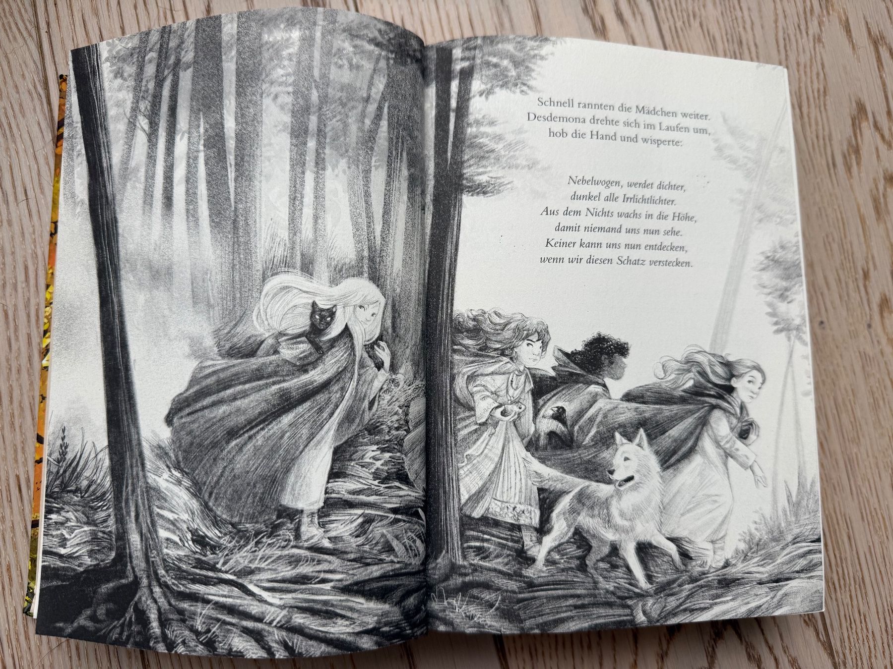 Libri: Ein Mädchen namens Willow 5: Schattenzeit – Usato da Hirzel venduto da Dream-Box 2