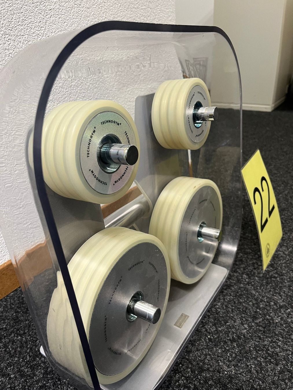 Technogym Hanteln & Gewichte: Technogym Wellness Rack – Gebraucht aus Brig von jausi76 1