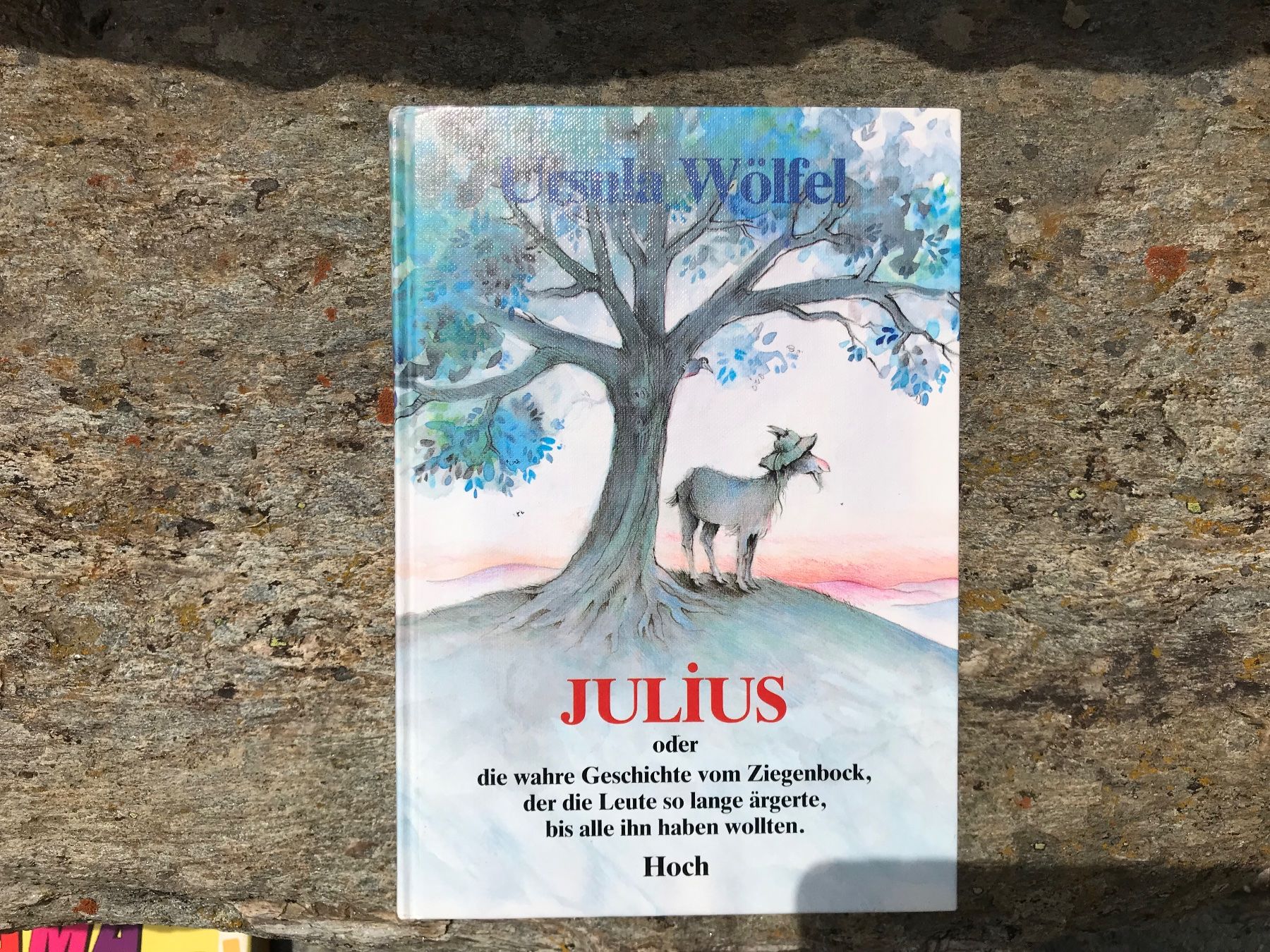 Livres: Julius – Neuf (Voir description) à Zürich par almaluisa