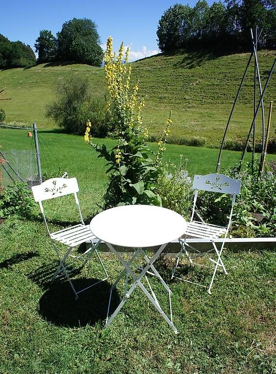 Set di tavolo e panche: Gartentisch und 2 Stühle aus Metall – Usato da Walzenhausen venduto da OK_1