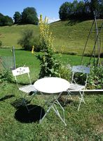 Gartentisch und 2 Stühle aus Metall